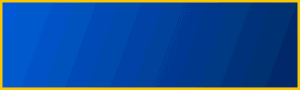 Fixed Matches